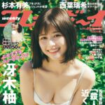 【11/20発売】「週刊プレイボーイ 2023年 No.49」表紙：冴木柚葉 / 杉本有美 西葉瑞希 高崎かなみ etc.