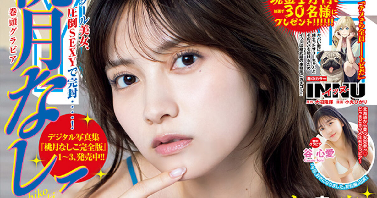 週刊ヤングマガジン 2024年 No.46